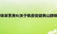 枫香安徽黄山群体家系黄6(关于枫香安徽黄山群体家系黄6的简介)