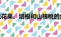 带无花果、培根和山核桃的鱼