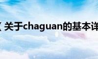 chaguan（关于chaguan的基本详情介绍）