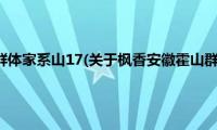 枫香安徽霍山群体家系山17(关于枫香安徽霍山群体家系山17的简介)