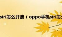 oppo手机siri怎么开启（oppo手机siri怎么打开）