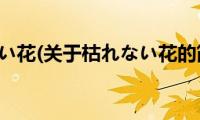 枯れない花(关于枯れない花的简介)