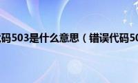 错误代码503是什么意思（错误代码503）