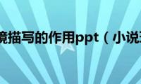 小说环境描写的作用ppt（小说环境）