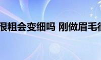 刚做眉毛很粗会变细吗(刚做眉毛很粗会不会变细)