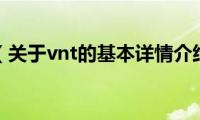 vnt（关于vnt的基本详情介绍）