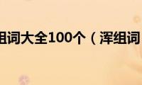 浑组词大全100个（浑组词）