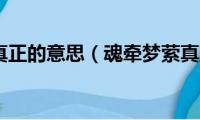 魂牵梦萦真正的意思（魂牵梦萦真正的意思简单介绍）