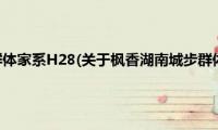 枫香湖南城步群体家系H28(关于枫香湖南城步群体家系H28的简介)