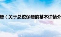 总统保镖（关于总统保镖的基本详情介绍）