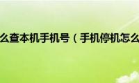 手机停机怎么查本机手机号（手机停机怎么查话费）