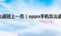 oppo手机怎么返回上一页（oppo手机怎么返回上一页）