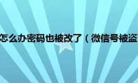 微信号被盗了怎么办密码也被改了（微信号被盗了怎么办）