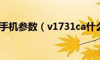 v1731ca手机参数（v1731ca什么手机）