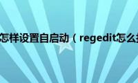 regedit怎样设置自启动（regedit怎么打开）