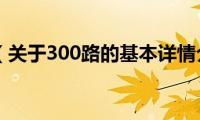 300路（关于300路的基本详情介绍）