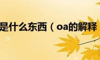 oa是什么东西（oa的解释）