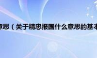 精忠报国什么意思（关于精忠报国什么意思的基本详情介绍）