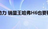 新增1.3T动力(销量王哈弗H6也要稳中求变)