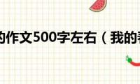 关于春节的作文500字左右（我的春节作文500字）