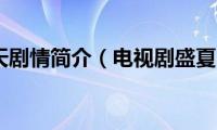 盛夏晚晴天剧情简介（电视剧盛夏晚晴天剧情简介）