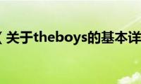 theboys（关于theboys的基本详情介绍）