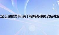 柏城办事处皮庄社区志愿服务队(关于柏城办事处皮庄社区志愿服务队的简介)