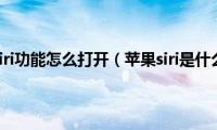 苹果siri功能怎么打开（苹果siri是什么）