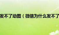 微信为什么发不了动图（微信为什么发不了长视频）