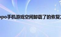 分享oppo手机游戏空间卸载了的恢复方法