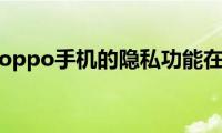 来看看oppo手机的隐私功能在哪里