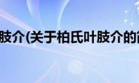 柏氏叶肢介(关于柏氏叶肢介的简介)