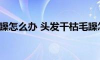 头发干枯毛躁怎么办(头发干枯毛躁怎么柔顺)