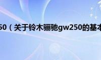 铃木骊驰gw250（关于铃木骊驰gw250的基本详情介绍）