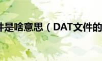 DAT文件是啥意思（DAT文件的简介）