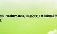 某些电磁波传播问题的格子Boltzmann方法研究(关于某些电磁波传播问题的格子Boltzmann方法研究的简介)