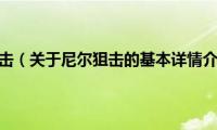 尼尔狙击（关于尼尔狙击的基本详情介绍）