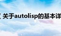 autolisp（关于autolisp的基本详情介绍）