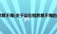 染忘相思君不悔(关于染忘相思君不悔的简介)