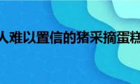 令人难以置信的猪采摘蛋糕