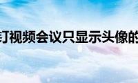 分享钉钉视频会议只显示头像的方法