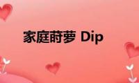 家庭莳萝(Dip)