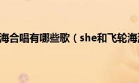 she和飞轮海合唱有哪些歌（she和飞轮海演唱会）