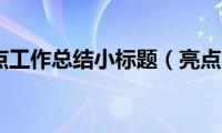 亮点工作总结小标题（亮点）