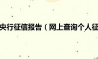 怎么查询个人央行征信报告（网上查询个人征信系统报告的步骤方法）