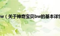 神奇宝贝bw（关于神奇宝贝bw的基本详情介绍）