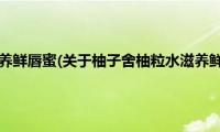 柚子舍柚粒水滋养鲜唇蜜(关于柚子舍柚粒水滋养鲜唇蜜的简介)