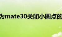 分享华为mate30关闭小圆点的方法