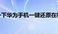 了解一下华为手机一键还原在哪里