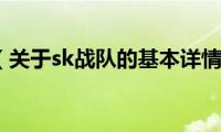 sk战队（关于sk战队的基本详情介绍）